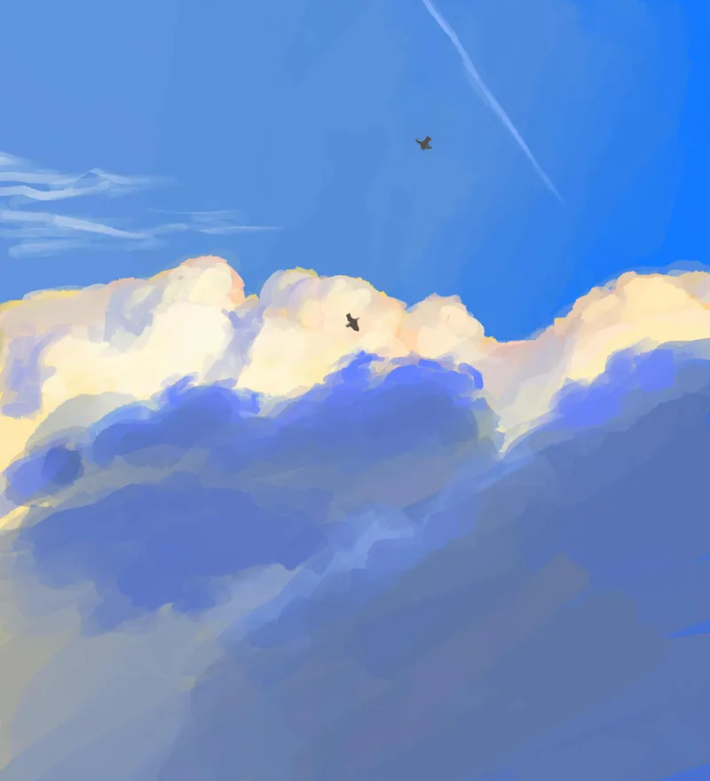 Clouds Birds painting